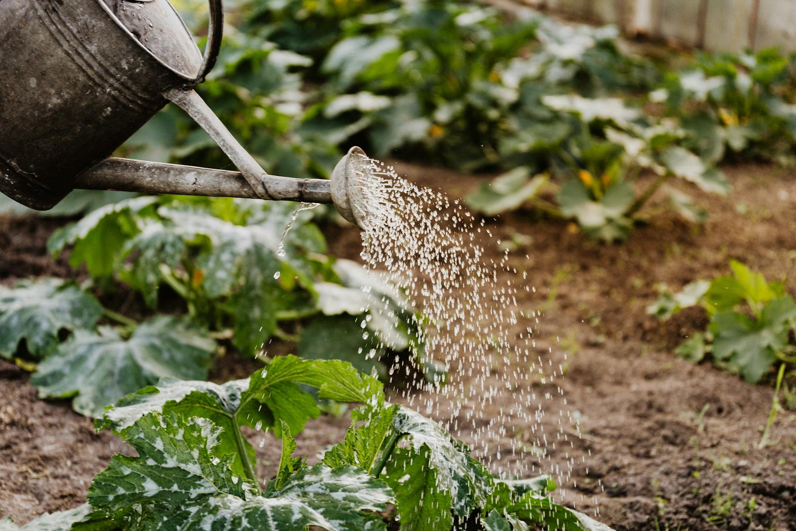 Agricultura de precisión con riego tecnificado